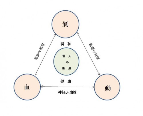 氣・血・動