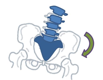 骨盤の歪み